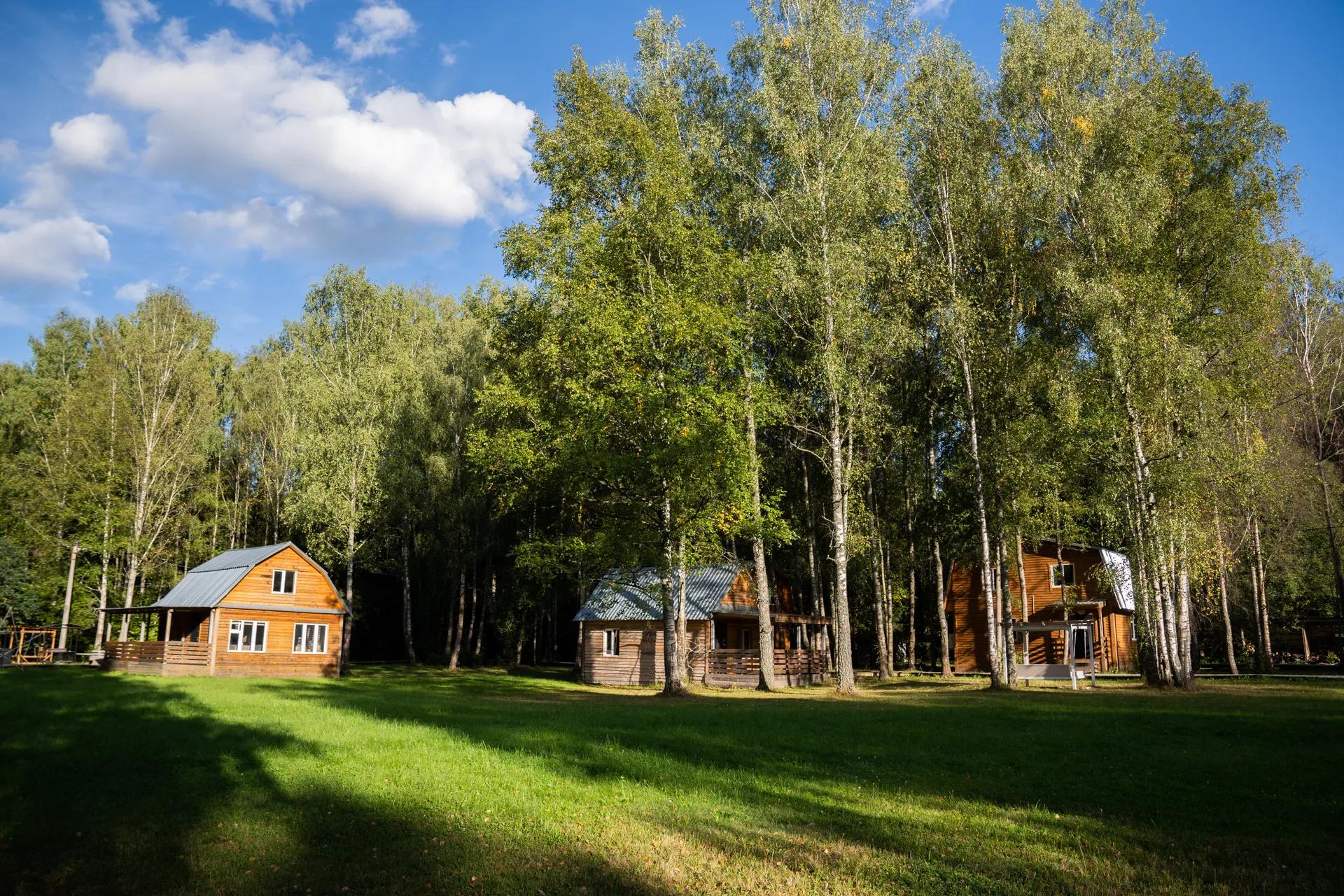Домики Voronovo Village на поляне у леса